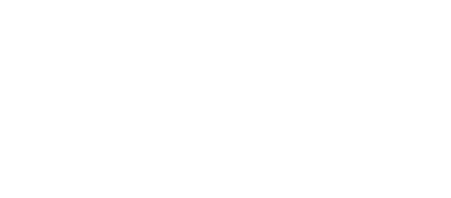 Fortress Elevator